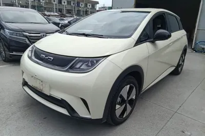 BYD Dolphin · 2023 год