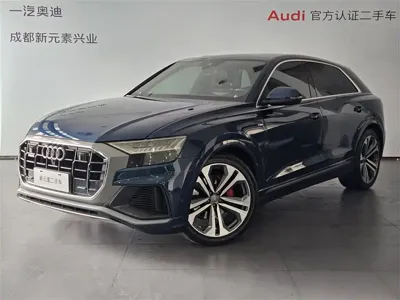 Audi Q8 · 2019 год