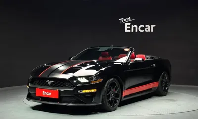Ford Mustang · 2019 год