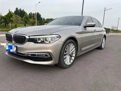 BMW 5 Series · 2019 год
