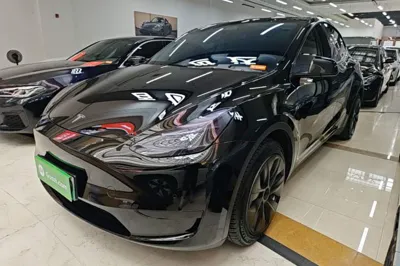 Tesla Model Y · 2022 год