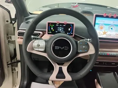 BYD Seagull 2024, 20800 км, за 48300 CNY - фото 11