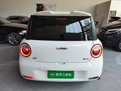 Qiyuan Lumin 2025, 15000 км, за 38900 CNY - фото 6
