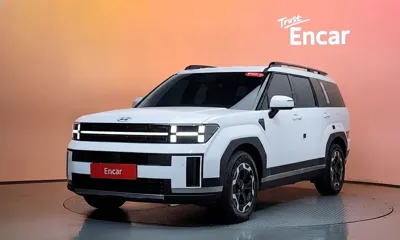 Hyundai Santafe · 2024 год