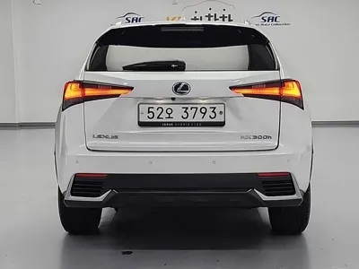 Lexus NX 2019, 67649 км, за 30900000 KRW