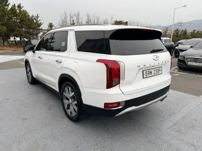 Hyundai Palisade 2019, 124415 км, за 30900000 KRW