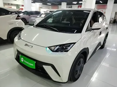 BYD Seagull · 2024 год