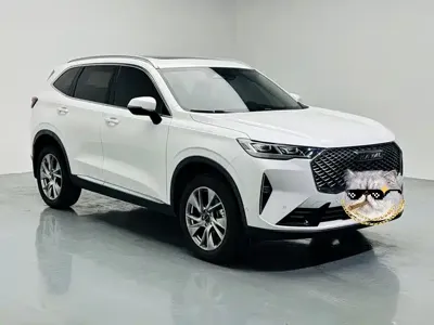Haval H6 2021, 62000 км, за 58900 CNY - фото 3