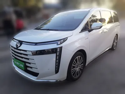 GAC Trumpchi E8 New Energy · 2024 год