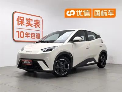 BYD Seagull · 2023 год