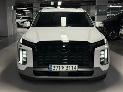 Hyundai Palisade · 2024 год