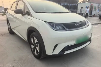 BYD Dolphin 2025, 100 км, за 89502.06 CNY