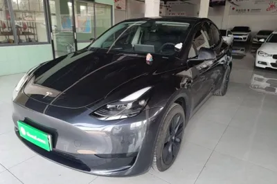 Tesla Model Y · 2024 год