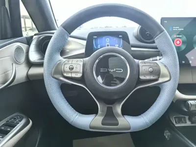 BYD Dolphin 2023, 50000 км, за 56800 CNY - фото 10