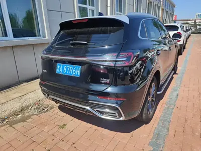 Hongqi Hongqi HS5 2023, 50000 км, за 92800 CNY - фото 9