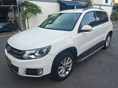 Volkswagen Tiguan · 2015 год