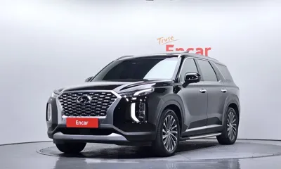 Hyundai Palisade · 2019 год