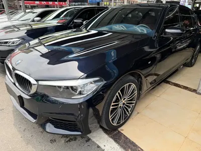 BMW 5 Series · 2019 год