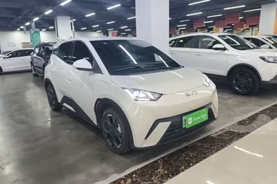 BYD Seagull 2025, 16600 км, за 67857.33 CNY