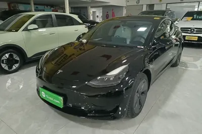 Tesla Model 3 · 2022 год