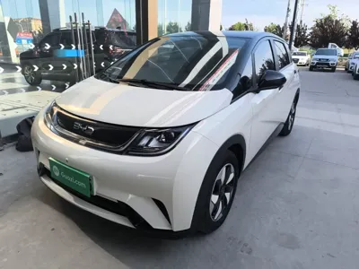 BYD Dolphin · 2025 год