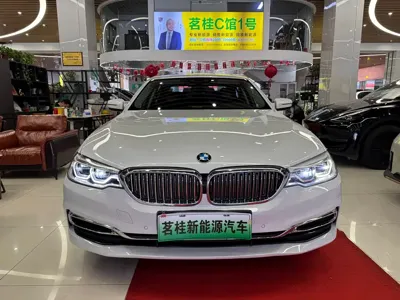 BMW 5 Series New Energy 2020, 100000 км, за 132800 CNY