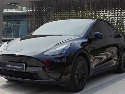 Tesla Model Y · 2023 год