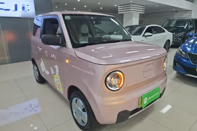 Geely Galaxy Panda 2024, 4800 км, за 45579.86 CNY - фото 12
