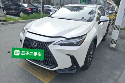 Lexus NX · 2022 год