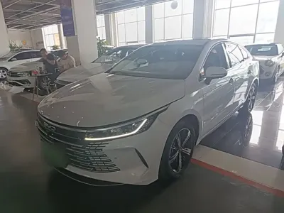 BYD Destroyer 05 · 2023 год