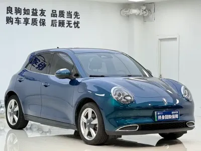 ORA Ora Good Cat 2023, 38000 км, за 66800 CNY