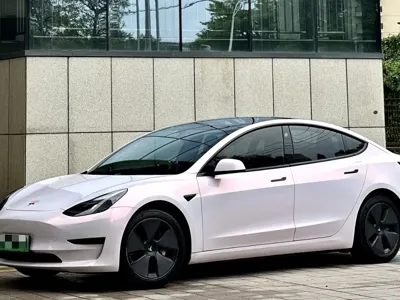 Tesla Model 3 · 2022 год