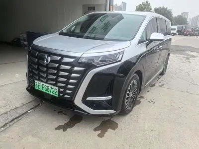 Denza Denza D9 · 2024 год