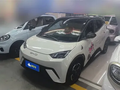 BYD Seagull · 2024 год