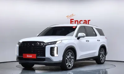 Hyundai Palisade · 2024 год