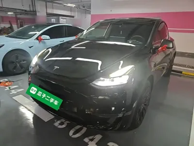 Tesla Model Y · 2024 год