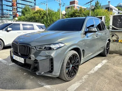 BMW X5 · 2024 год
