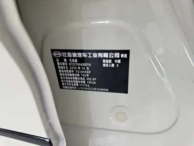 BYD Dolphin 2023, 50000 км, за 61800 CNY - фото 6