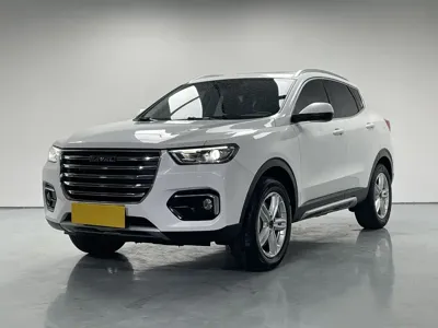 Haval H4 · 2019 год