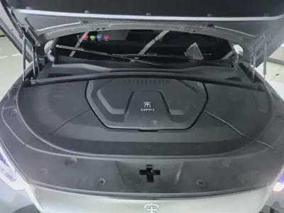 BYD PLUS New Energy 2021, 13100 км, за 76800 CNY - фото 10