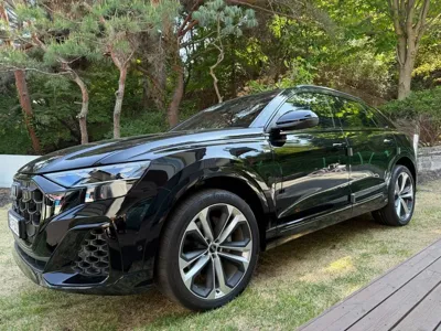 Audi Q8 · 2025 год