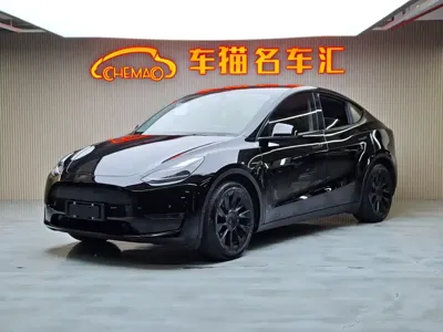 Tesla Model Y · 2021 год