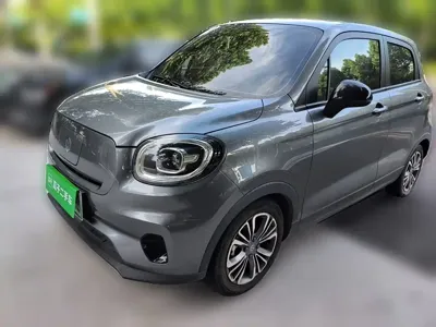 Leapmotor Leapmotor T03 · 2020 год