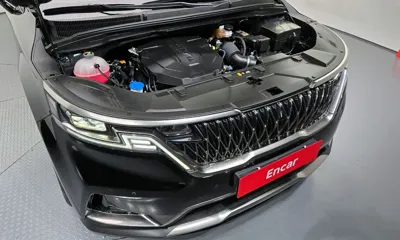 Kia Canival 2023, 64609 км, за 31990000 KRW - фото 6