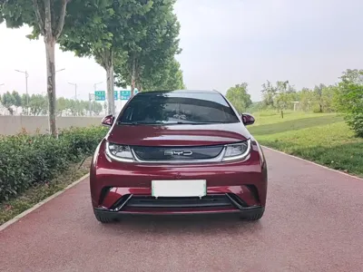 BYD Dolphin · 2022 год