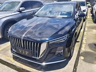 Hongqi Hongqi H5 · 2024 год