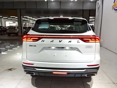 Haval H6 2024, 20200 км, за 67300 CNY - фото 6