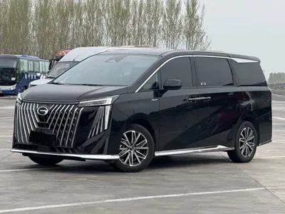 GAC Motor Trumpchi M8 · 2024 год
