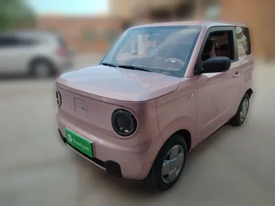 Geely Galaxy Panda · 2023 год