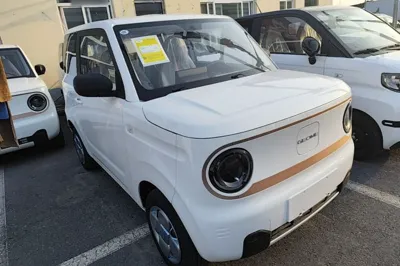 Geely Galaxy Panda 2024, 100 км, за 48360.75 CNY